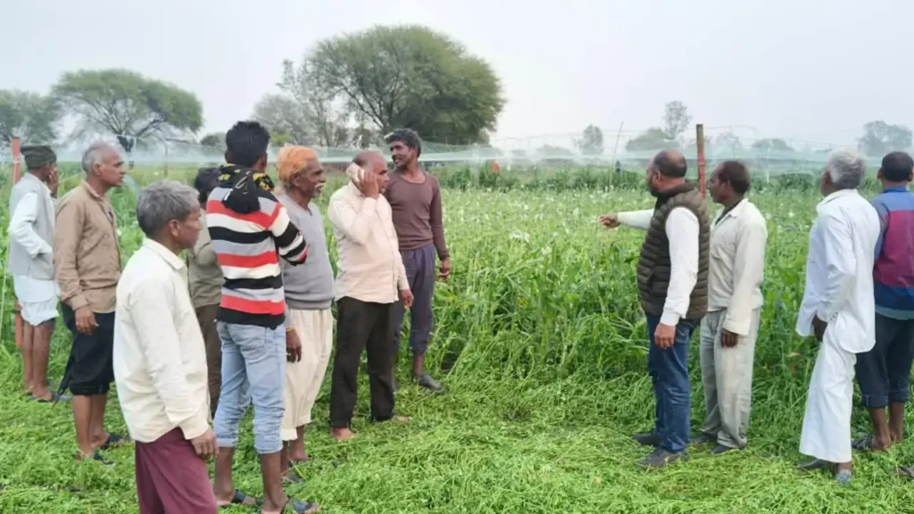 मंदसौर के मल्हारगढ़ क्षेत्र में ओलावृष्टि ने अफीम-गेहूं समेत फसलें बर्बाद, जिला कांग्रेस अध्यक्ष महेंद्र सिंह गुर्जर बोले- सरकार दे तुरंत मुआवजा