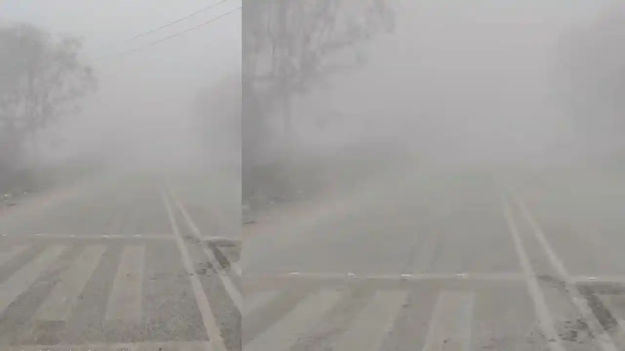 जावद में शनिवार सुबह घना कोहरा, दोपहर में निकली धूप, किसानों को सतर्क रहने की सलाह।