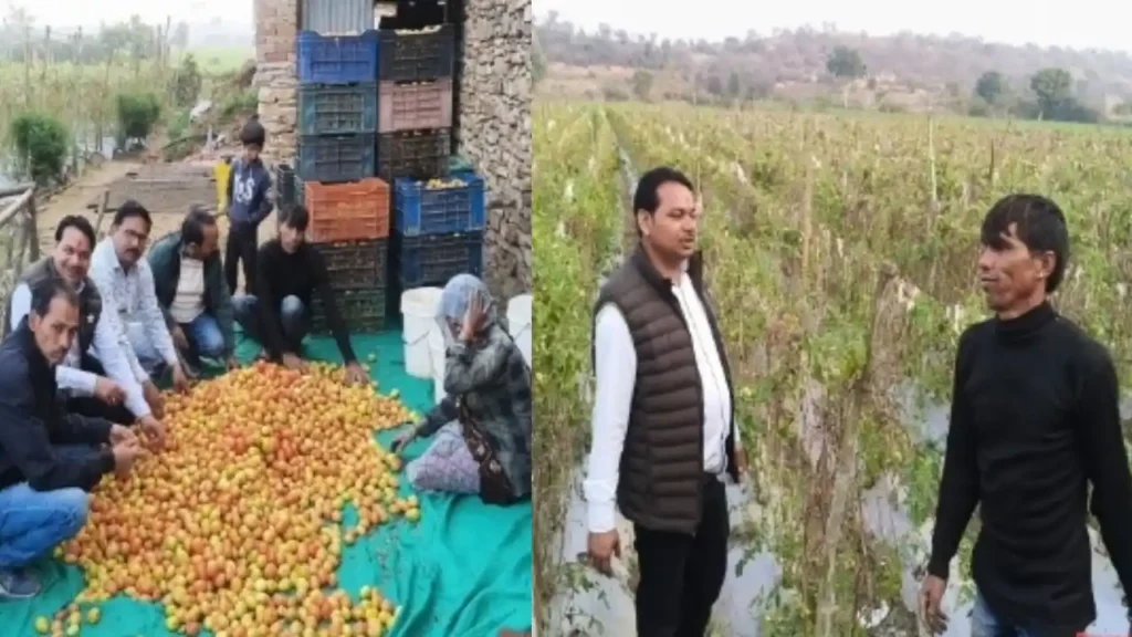 वाटरशेड से लाभांवित किसान ने नगदी फसलों को अपनाकर अपनी आय में किया इजाफा 