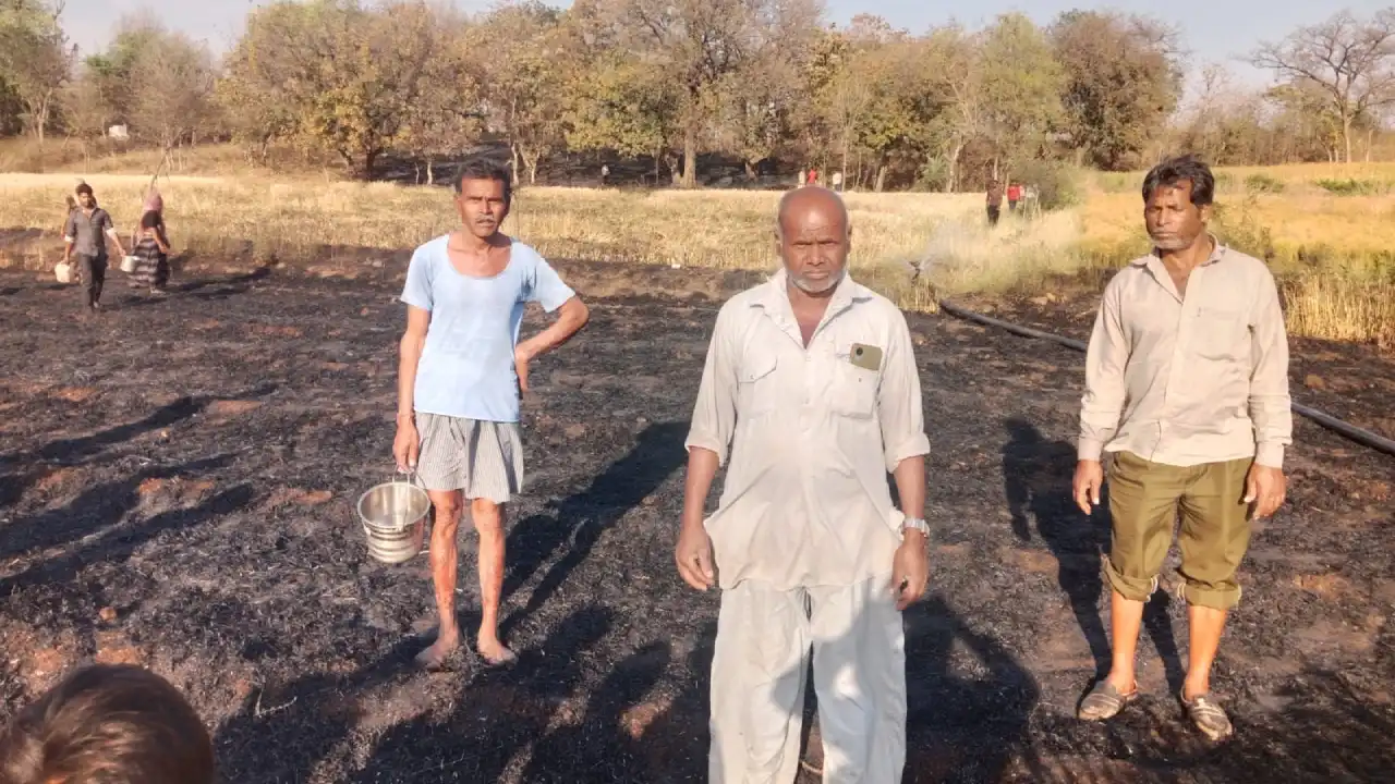 बिजली विभाग की लापरवाही से किसान की मेहनत राख, चिंगारी से खेत में लगी भीषण आग