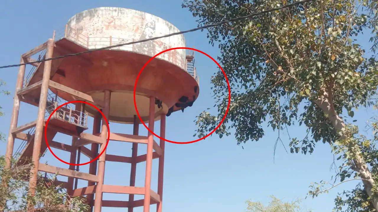 सावधान! जीरन में मंडरा रहा है 'मौत का साया': पानी की टंकी पर मधुमक्खियों का डेरा, आंगनवाड़ी के मासूम निशाने पर