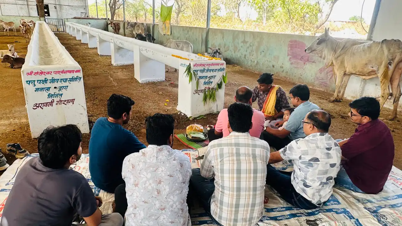 जीव दया समिति मनासा ने अरावली गौशाला में 251 फीट लंबी होदी का निर्माण कर गोमाता को समर्पित की।