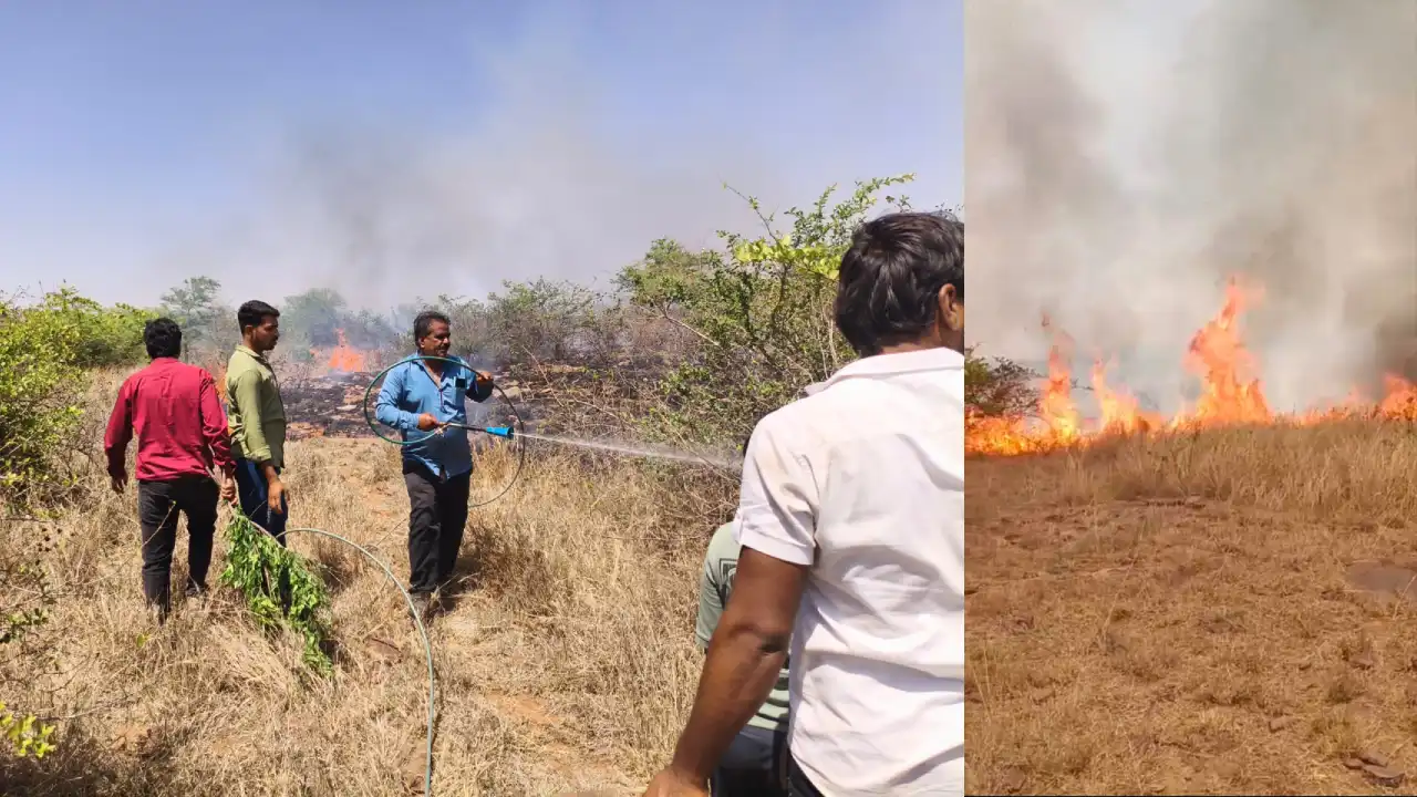 दलपतपुरा के जंगलों में भीषण आग, ग्रामीणों ने संभाला मोर्चा दलपतपुरा के जंगलों में भीषण आग, ग्रामीणों ने संभाला मोर्चा