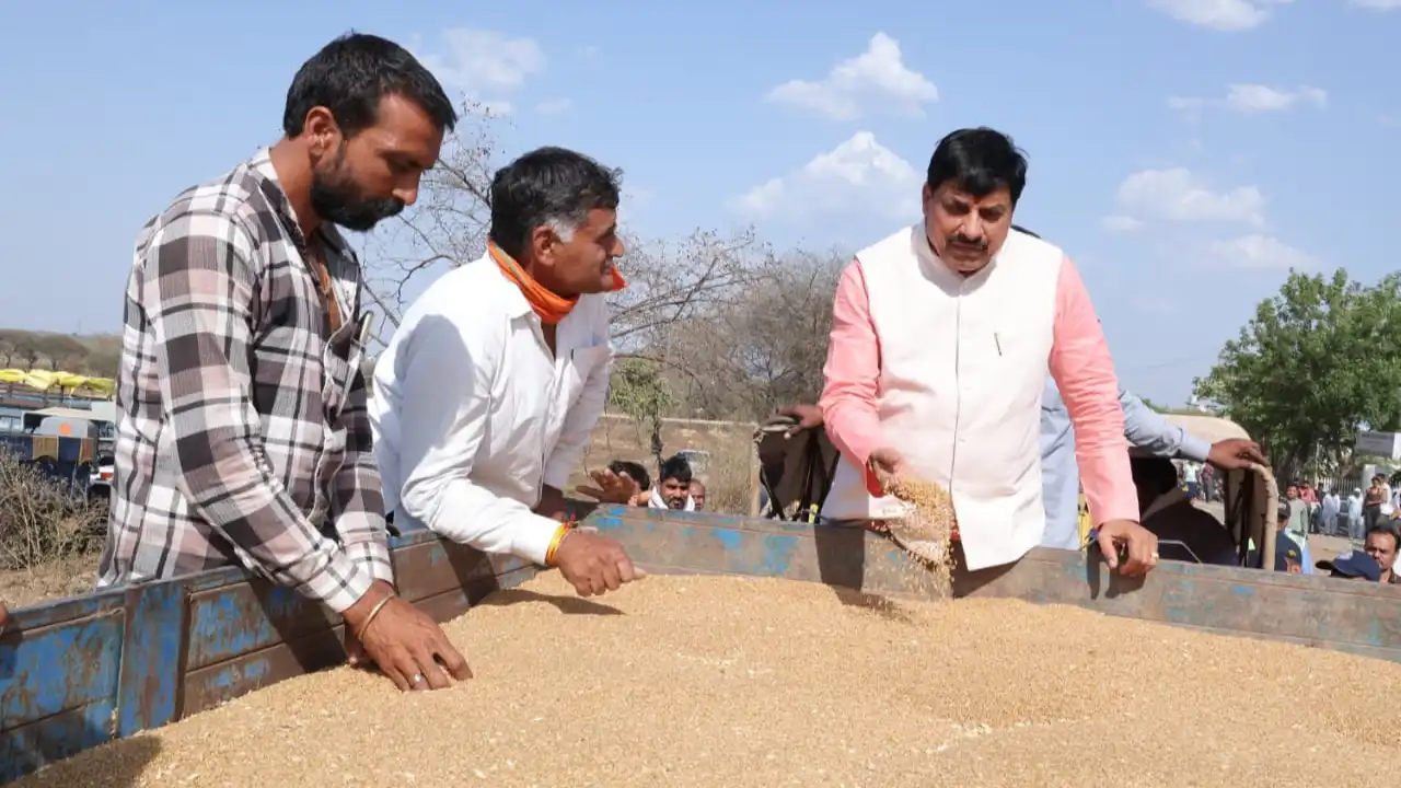 फिर अचानक गेहूं उपार्जन केंद्र पहुंचे सीएम डॉ. मोहन, रिलीज किया वेयरहाउस की क्षमता बढ़ाने का ऑर्डर