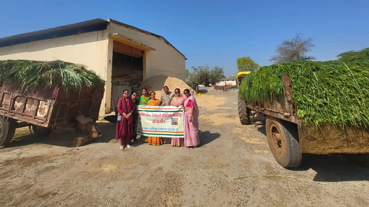 गौमाताओं को हरा चारा खिलाने का सेवा कार्य सम्पन्न हुआ