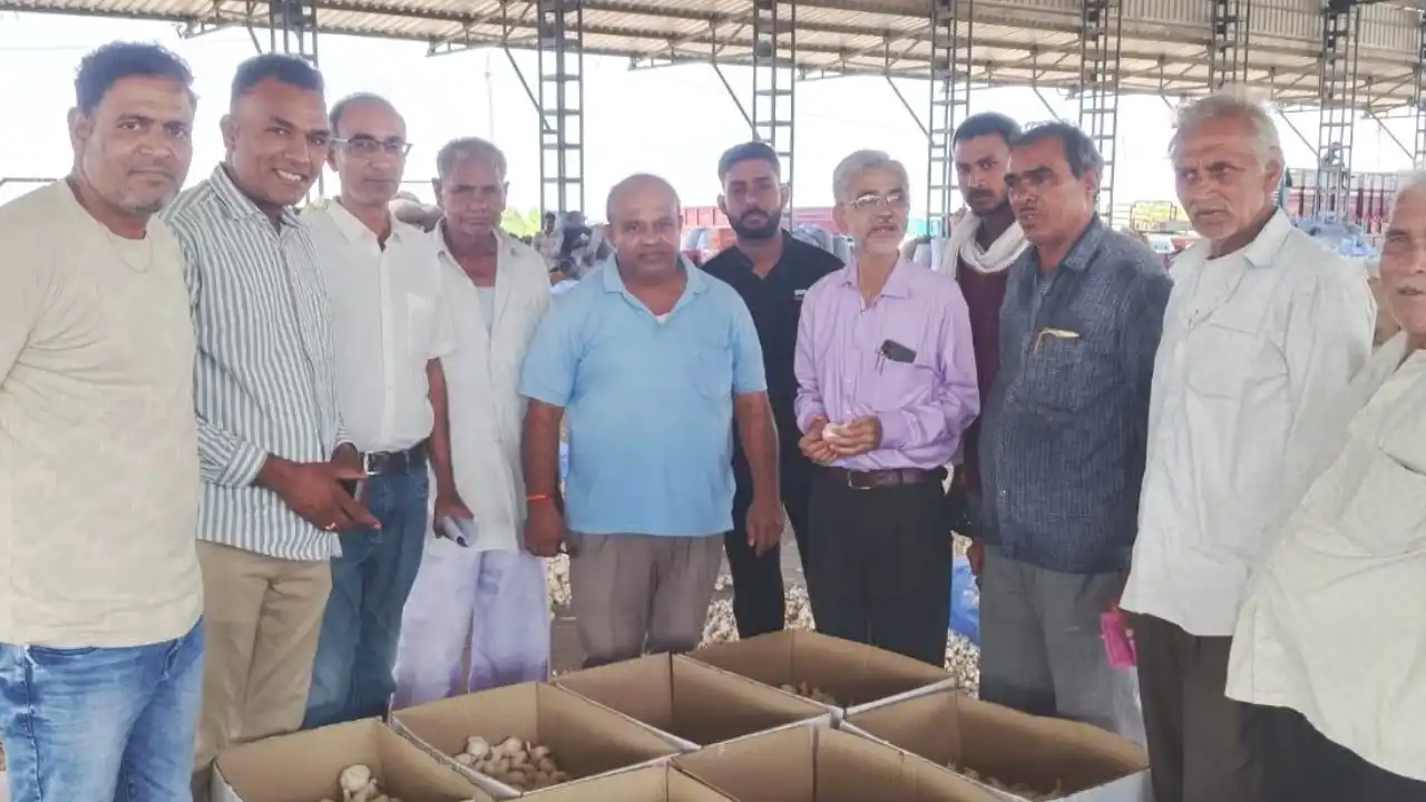 जीरन कृषि उपज मंडी में लहसुन उत्पादक किसानों से वैज्ञानिकों ने किया संवाद