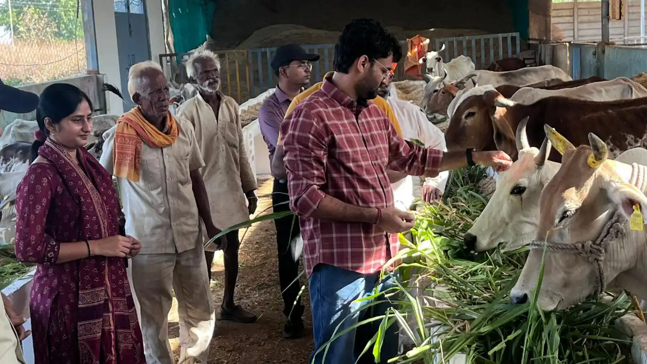 कलेक्टर हिमांशु चंद्रा ने टामोटी में रात्रि विश्राम के बाद सुबह की पहली किरण के साथ जल संरचनाओं का किया निरीक्षण, अरावली गौशाला में गौ-सेवा की