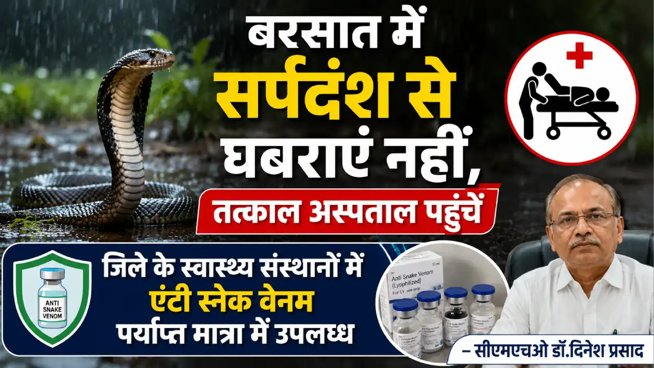 बरसात में सर्पदंश से घबराएं नहीं, तत्काल अस्पताल पहुंचें