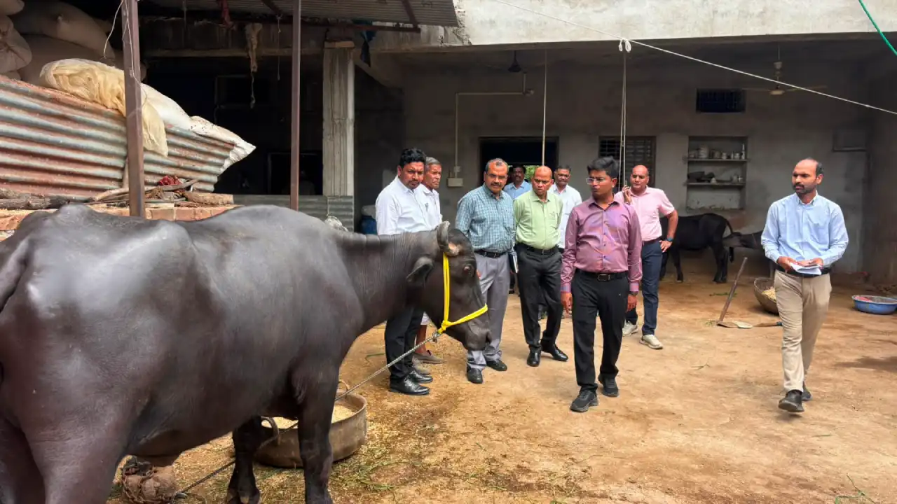 डेयरी प्लस इकाई का जिला पंचायत सीईओ ने किया निरीक्षण